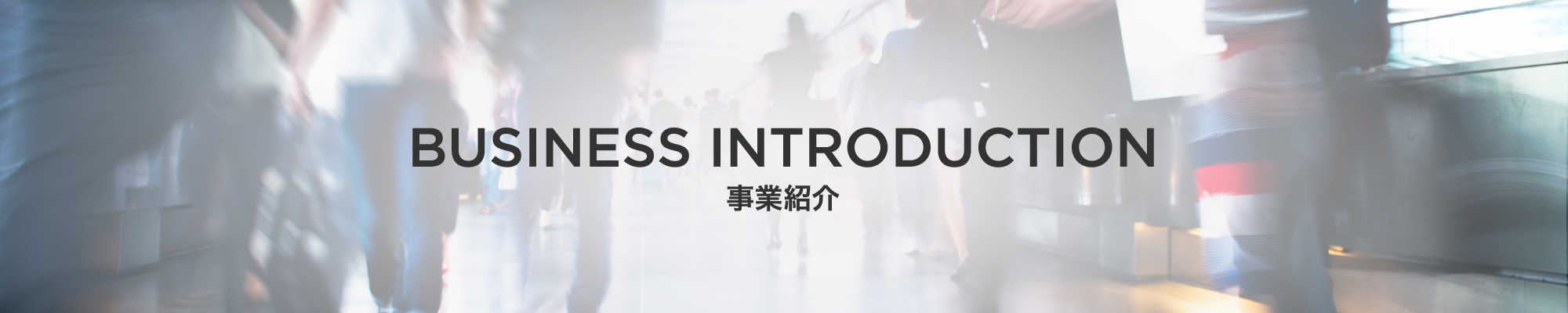 事業紹介
